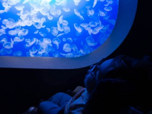 Lukas at the aquarium